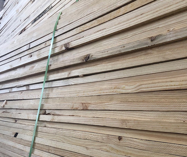 上犹巴西松